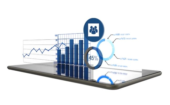 it-consultancy-ramuri IT Consultancy Ramuri Tech